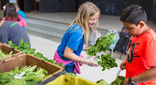 children with spinach (2)